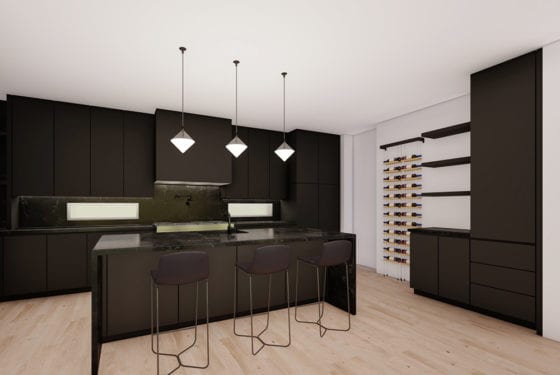 Renovar Construction custom home on W Alice Pl, Denver, CO 80211 — photo 4