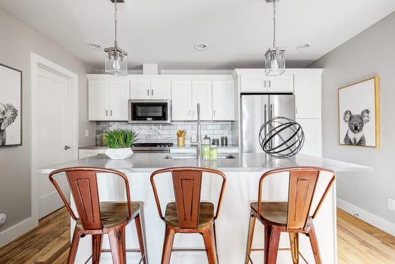 Renovar Construction townhome project on Meade St, Denver, CO 80204 — photo 12