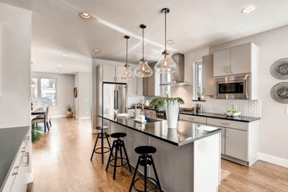 Renovar Construction townhome project on S Washington St, Denver, CO 80210 — photo 4