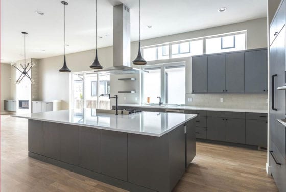 Renovar Construction custom home on S Williams St, Wash Park, Denver, CO — photo 8