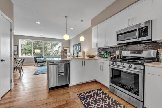 Renovar Construction townhome project on Sloans 10, Denver, CO 80204 — photo 17